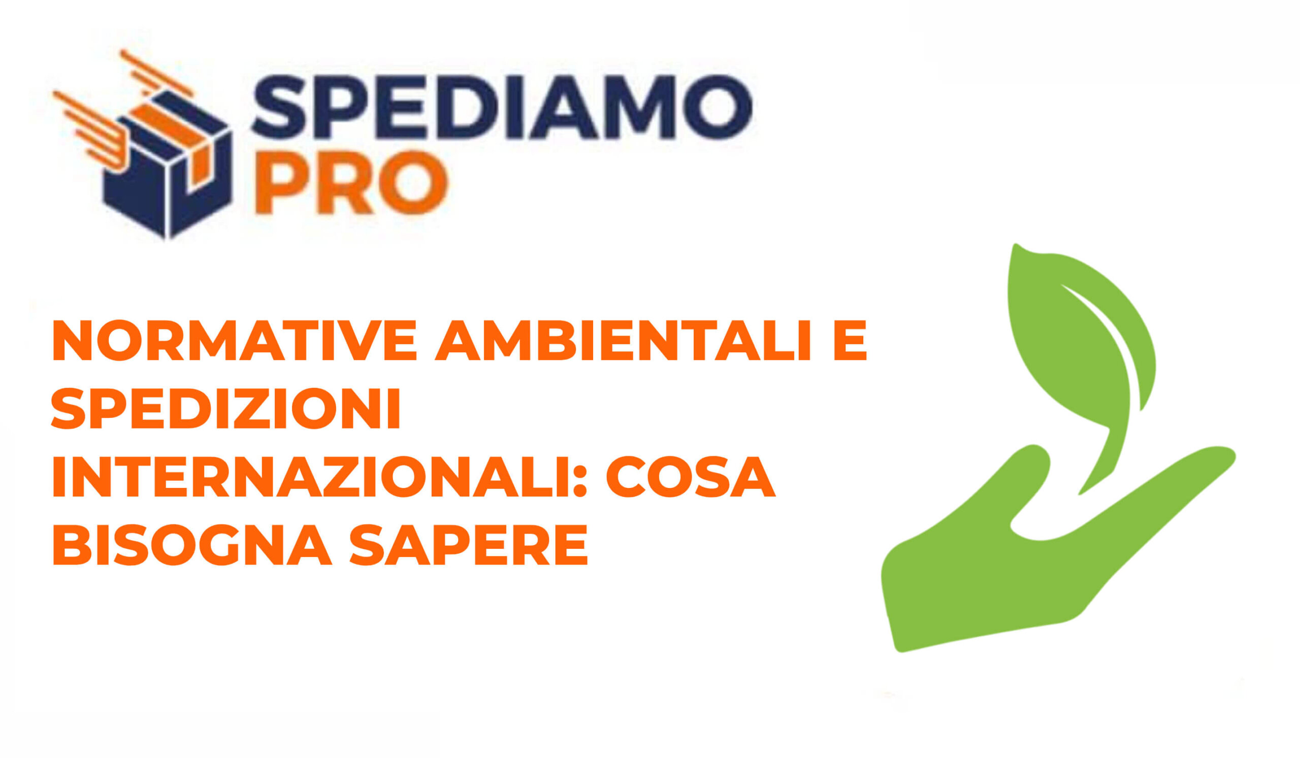 Normative ambientali e spedizioni internazionali: cosa bisogna sapere